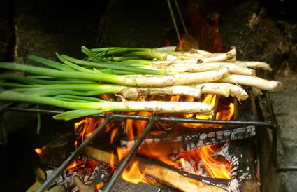 Calçots