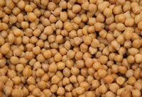 Garbanzos